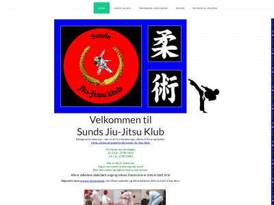 sjjk.dk snapshot