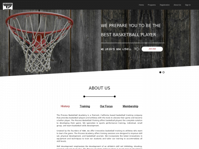 theprocessacademy.com snapshot