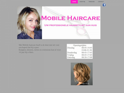 nmhaircare.nl snapshot