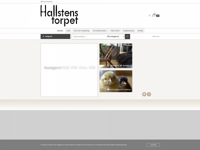 hallstenstorpet.se snapshot