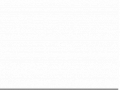 elastas.lt snapshot