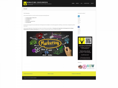 amazing-business.be snapshot
