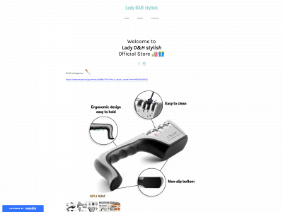 ladydh.weebly.com snapshot