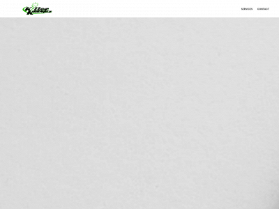 killerkonceptz.com snapshot