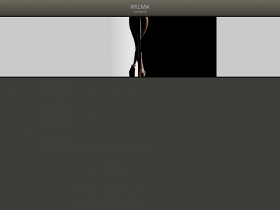 wilmachatnoir.com snapshot