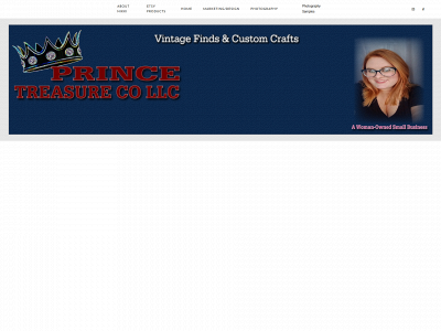 princetreasure.com snapshot