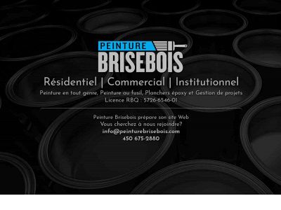 peinturebrisebois.com snapshot