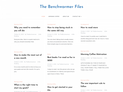 thebenchwarmerfiles.com snapshot