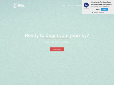 v1digitalmarketing.com snapshot
