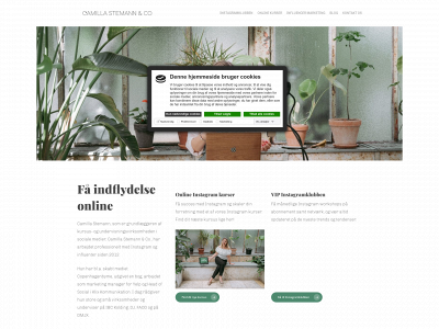 camillastemann.dk snapshot