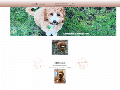 australianlabradoodlecuties.be snapshot