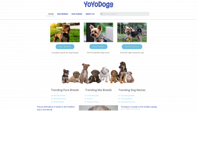 yoyodogs.com snapshot