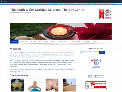 mstcswansea.co.uk snapshot