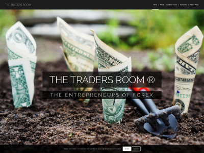 thetradersroom.co.uk snapshot