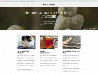gruvfruns.se snapshot