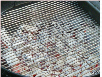 tsybert.com snapshot