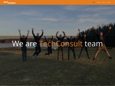 techconsult.lt snapshot