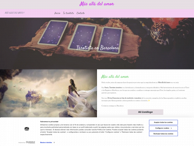 www.masalladelamor8.es snapshot