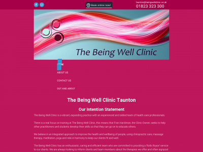 beingwelltaunton.co.uk snapshot