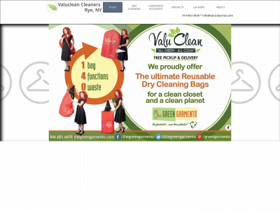 valucleanrye.com snapshot