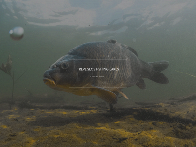 treveglosfishinglakes.co.uk snapshot