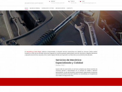 neumaticoselgatonegro.com snapshot