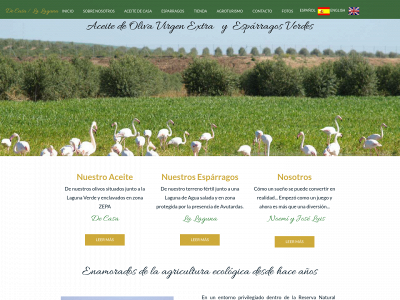 aceitedecasa.com snapshot