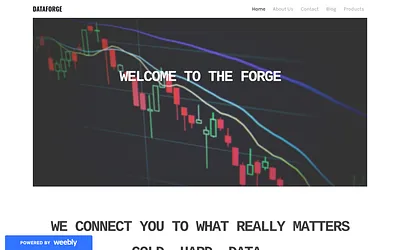 thedataforge.weebly.com snapshot