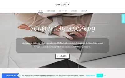 cyanagency.weebly.com snapshot