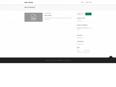 minitranstest.online snapshot