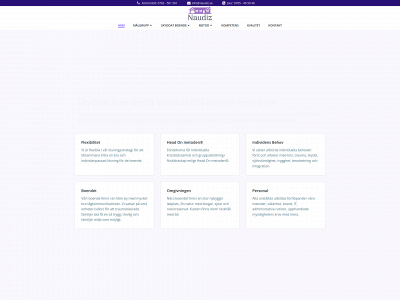 naudiz.se snapshot