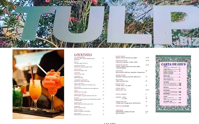 tulp-ibiza.com snapshot