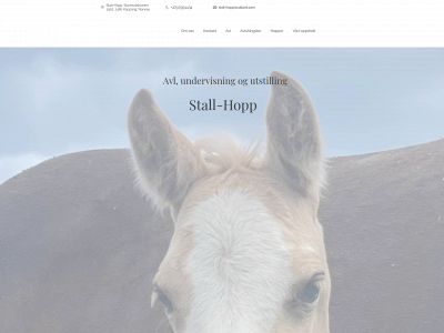 stall-hopp.com snapshot