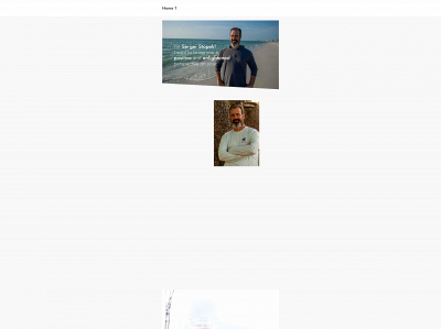 soaringhighwithsergei.com snapshot