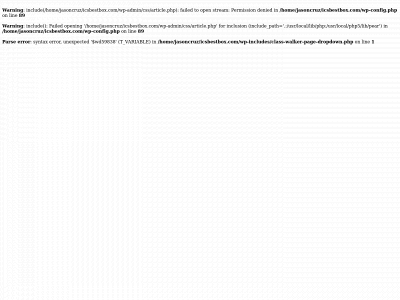 icsbestbox.com snapshot
