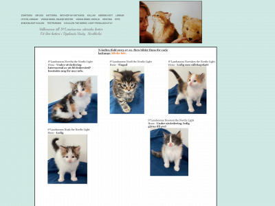 landsnoras-sibiriska-katter.se snapshot