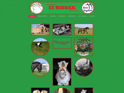 esriddax.se snapshot