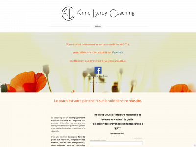 www.anneleroycoaching.fr snapshot