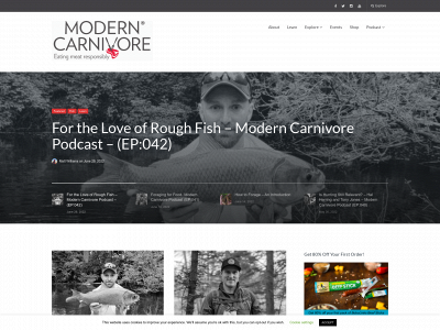 modcarn.com snapshot