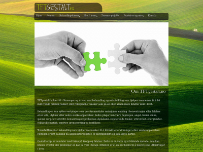 tftgestalt.com snapshot