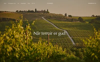 cgwines.dk snapshot