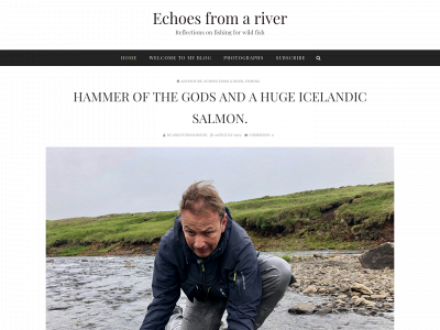 echoesfromariver.com snapshot