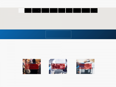 bl-project.de snapshot