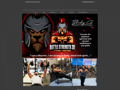 shubyg.com snapshot