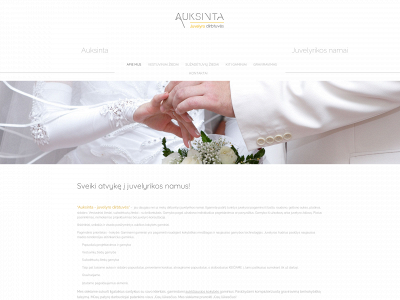 auksinta.lt snapshot