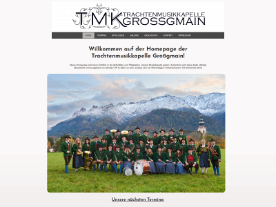 tmkgrossgmain.at snapshot