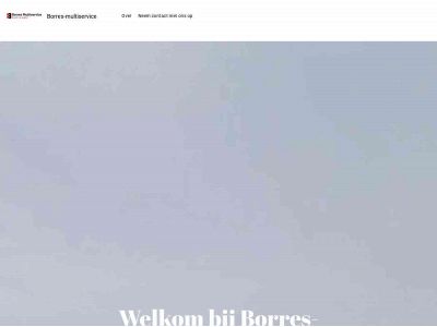 borres-multiservice.nl snapshot