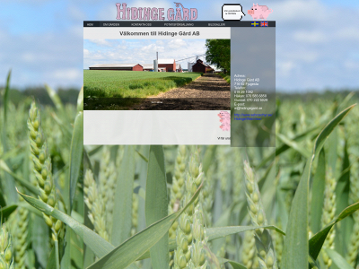 hidingegard.se snapshot