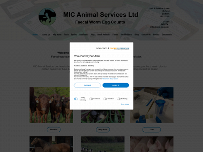 mic-as.com snapshot
