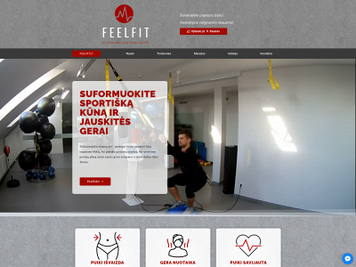 feelfit.lt snapshot